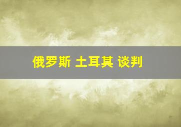 俄罗斯 土耳其 谈判